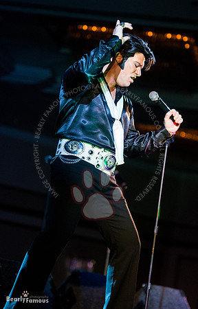 Elvis