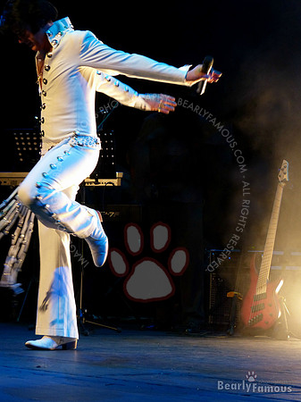 Elvis