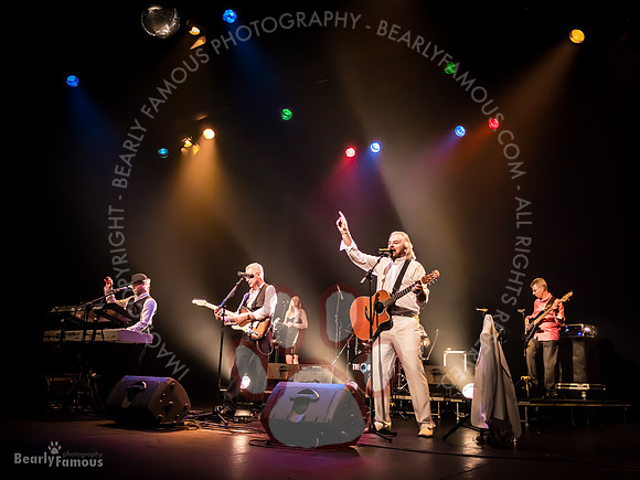 Bee Gees