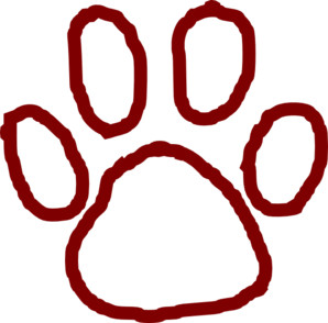 bear paw