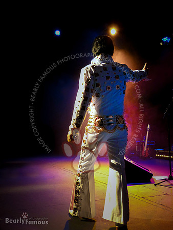 Elvis